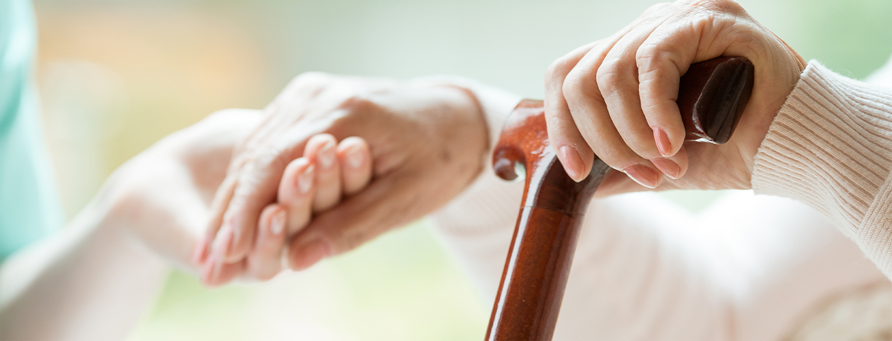 ヴェルズ高屋について